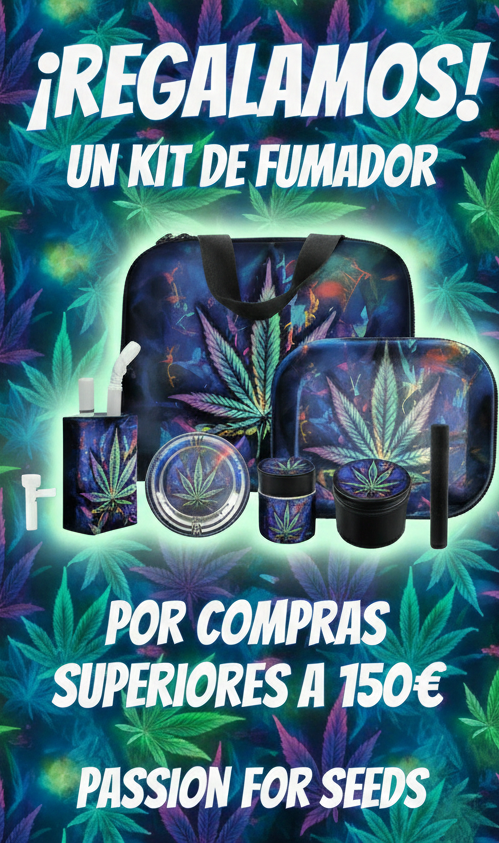 Oferta de lanzamiento kit